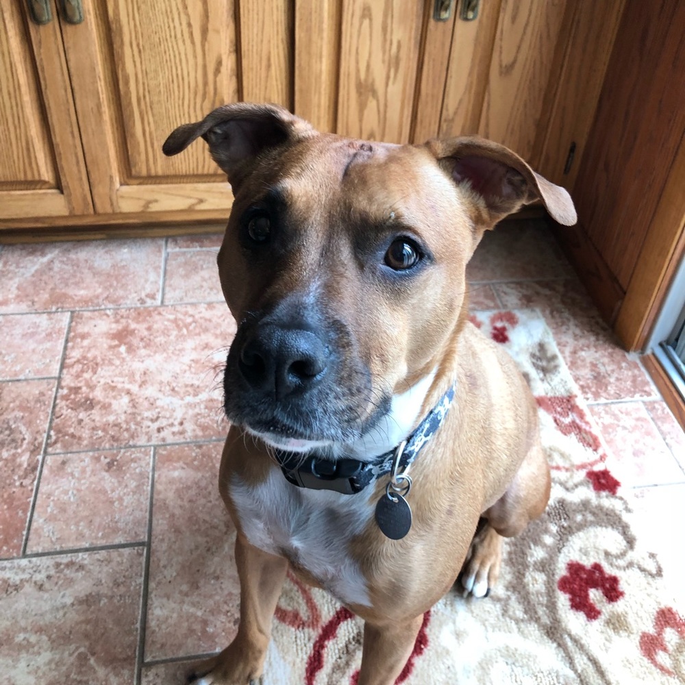 Meet your Posher, Theron